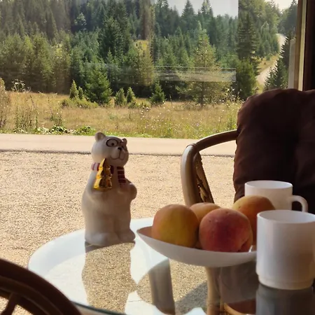 Luxury Dimitrijevic Holiday home