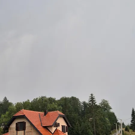 Holiday home Luxury Dimitrijevic *