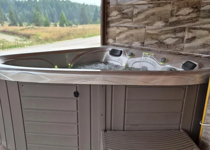 펜션 Luxury Dimitrijevic Konjska Reka