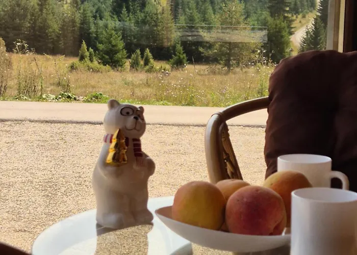 Luxury Dimitrijevic 펜션