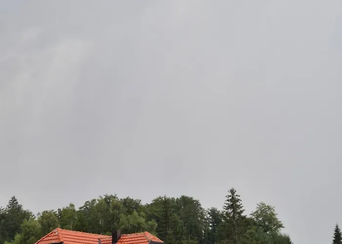 펜션 Luxury Dimitrijevic *